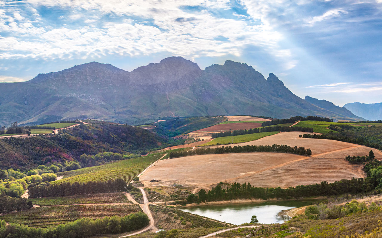 Le Riche Richesse, WO Stellenbosch - Boutinot